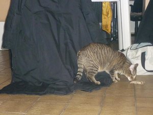 Besuch beim Quartett 040.jpg