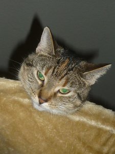 Besuch beim Quartett 050.jpg