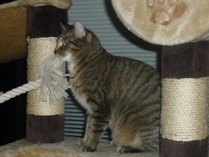 Besuch beim Quartett 065.jpg