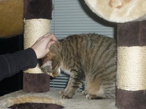 Besuch beim Quartett 071.jpg