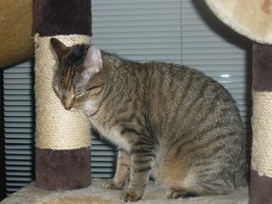 Besuch beim Quartett 072.jpg