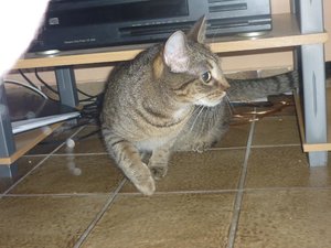 Besuch beim Quartett 121.jpg