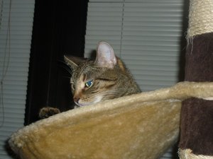 Besuch beim Quartett 135.jpg