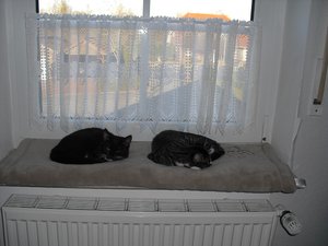 ZusammenführungTag6 009.jpg