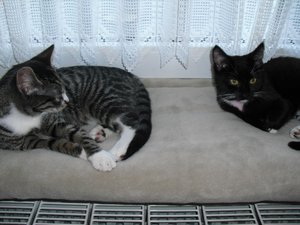 ZusammenführungTag6 005.jpg