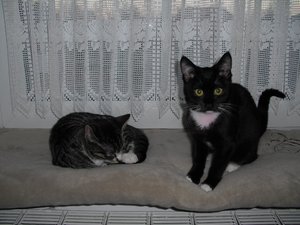 ZusammenführungTag6 001.jpg