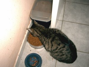 IMAG0034 [800x600].JPG