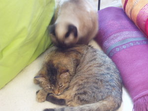 Körperpflege 026.jpg