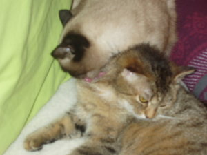 Körperpflege 039.jpg