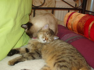 Körperpflege 047.jpg