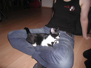 Bruno Schmusen 4.JPG