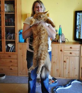 August 13 474.jpg August 13 474.jpg