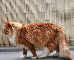 DSC august10 382.jpg