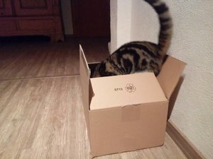 IMG_20161128_200609.jpg IMG_20161128_200609.jpg