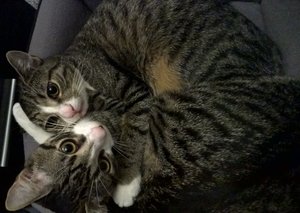 WP_20161203_07_18_53_Raw 1.jpg