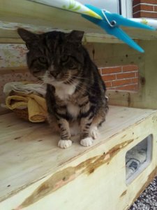 WhatsApp Image 2016-11-01 at 10.55.04.jpg