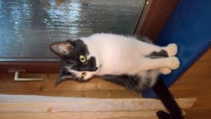 WP_20161208_09_01_39_Pro_0.jpg WP_20161208_09_01_39_Pro_0.jpg