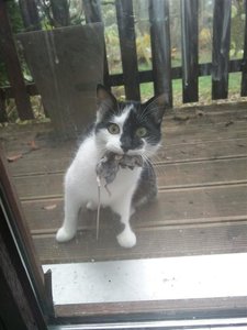 IMG-20161124-WA0002_0.jpg IMG-20161124-WA0002_0.jpg