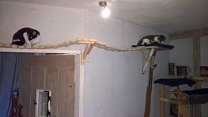 WP_20161212_10_08_47_Pro_0.jpg WP_20161212_10_08_47_Pro_0.jpg