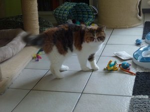 weihnachten 2016 002.jpg