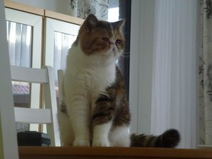 weihnachten 2016 004.jpg