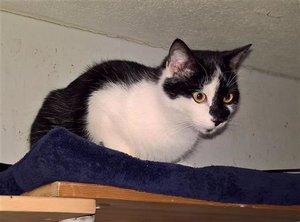 WP_20161211_15_34_37_Pro (2)_0_0.jpg