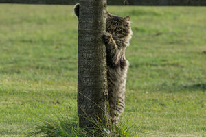 Elly am Baum-05498.JPG