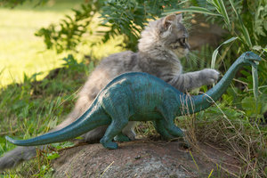 Diego mit Dino-05556.JPG