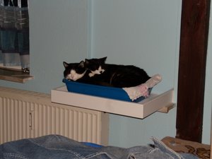 DSCN8660 (640x480).jpg