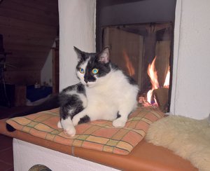 WP_20161231_18_07_24_Pro (3).jpg