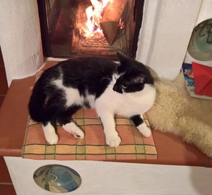 WP_20161231_18_07_56_Pro (2).jpg