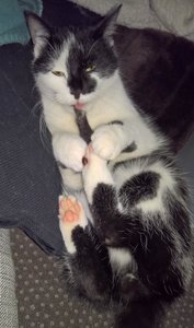 WP_20161229_14_19_48_Pro (2).jpg