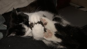 WP_20161229_14_18_19_Pro (2).jpg