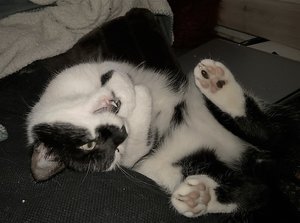 WP_20161229_14_18_26_Pro (3).jpg