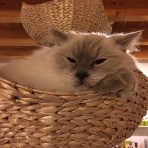 Penny gemütlich.jpg