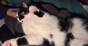 WP_20170115_21_10_51_Pro (2)_0.jpg