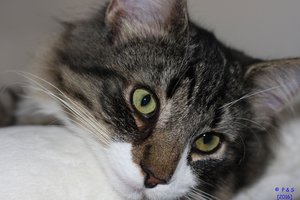 CR05082016362 - Kopie.jpg