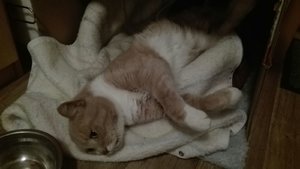 WhatsApp Image 2017-02-07 at 18.04.27 (1).jpeg