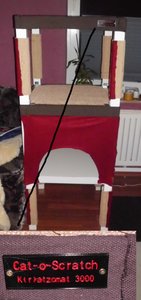 Cat-o-Scratch.jpg