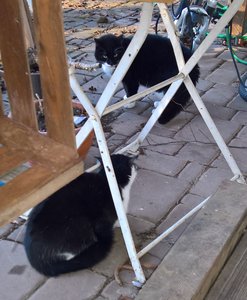 WP_20170310_16_41_15_Pro (2).jpg