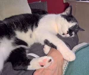 WP_20170120_22_56_19_Pro (2).jpg