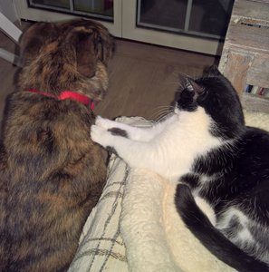 WP_20170127_19_35_41_Pro (2).jpg