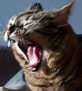 2017-03-13 17.30.03.jpg