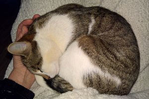 WP_20170311_17_05_42_Pro (2).jpg