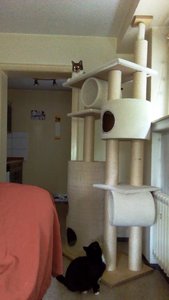 bilder von loona 181.jpg