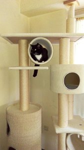 bilder von loona 179.jpg