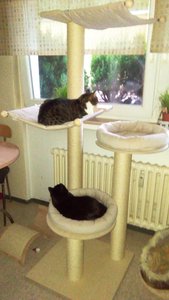 bilder von loona 189.jpg