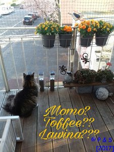 CR1_027.jpg CR1_027.jpg