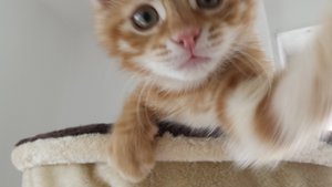 20140729_130939 (Kopie).jpg