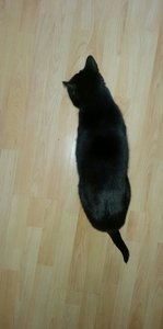 2017-04-08 18.49.13.jpg